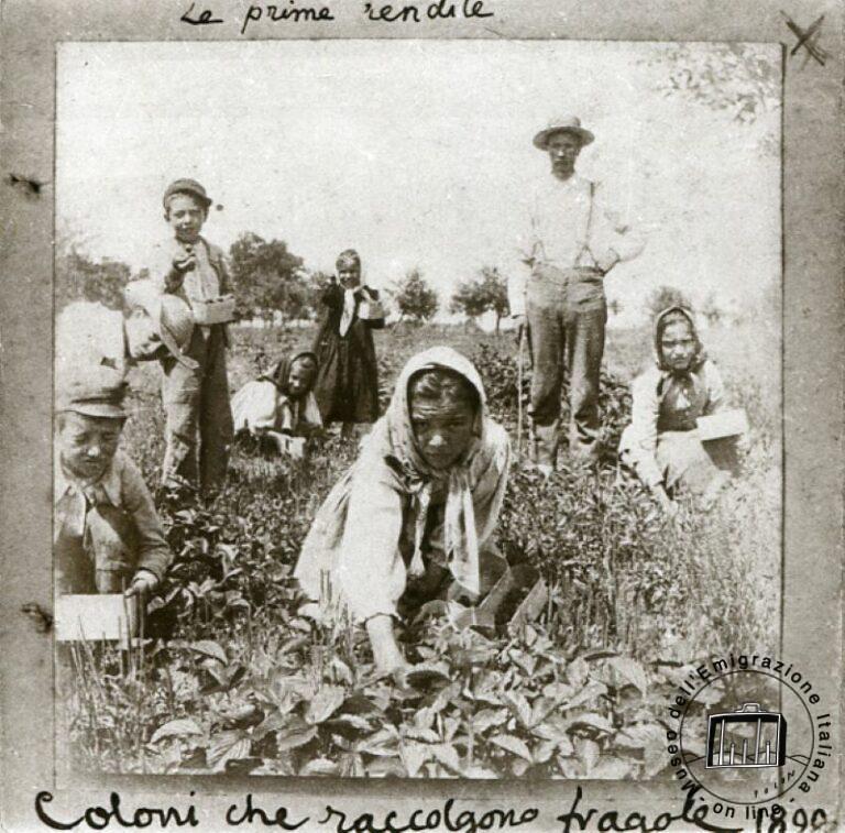 En Arkansas, a finales del siglo XIX, se produjeron los primeros asentamientos rurales de italianos. Tontitown fue fundada en 1898 por el padre Pietro Bandini, un misionero scalabriniano. En el campo