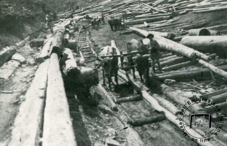 Romania, Straja, 1897. Disboscamento  e produzione di traversine per ferrovie